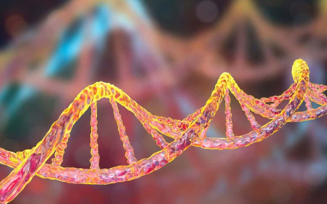 Chip da Beleza: Você Sabia Que Pode Transformar Sua Pele?